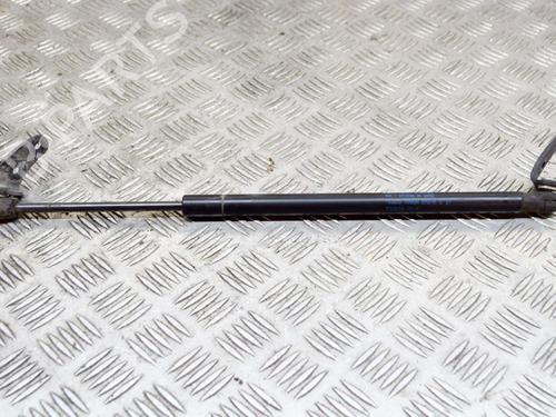 Used Hood lift support TESLA MODEL S (5YJS) 75 (320 hp) 14632266