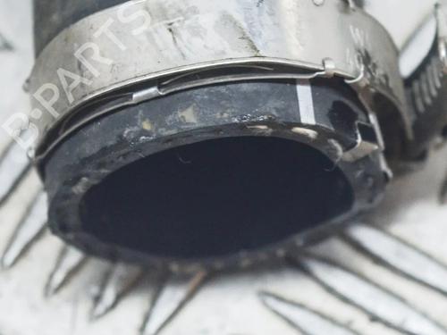 Pipe LAND ROVER RANGE ROVER IV (L405) 4.4 SDV8 4x4 | BP8839529M125