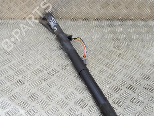 Tailgate lift support TESLA MODEL S (5YJS) 85 | BP14646872C138 