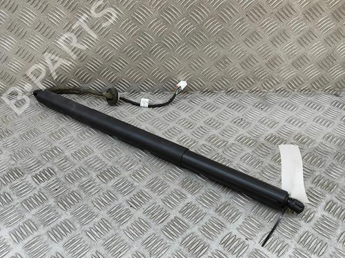 Tailgate lift support TESLA MODEL Y (5YJY) EV Performance All-wheel Drive | BP27789759C138