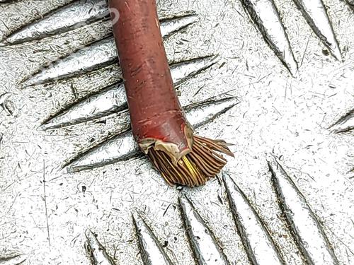 Fuse box PORSCHE CAYENNE (9PA) Turbo 4.8 | BP30323980E1 