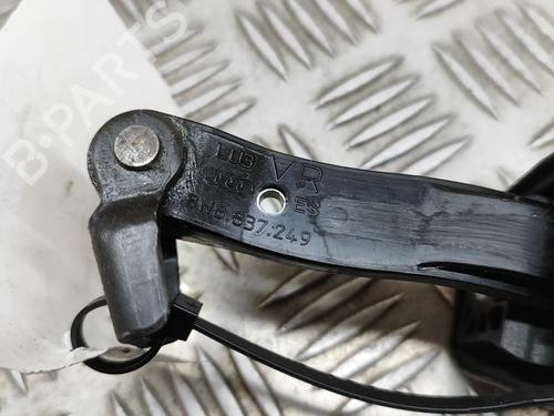 Hinge/Door check strap AUDI A5 Sportback (F5A, F5F) 2.0 TFSI quattro | BP23247978C146 