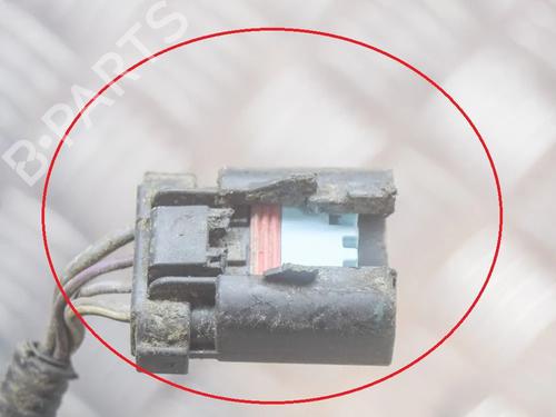 Ledningsnett TESLA MODEL S (5YJS) P85 | BP30885348E16