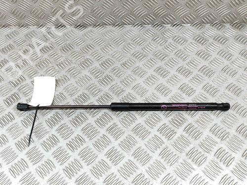 Used Hood lift support KIA EV6 (CV) 77 GT AWD (585 hp) 28551521