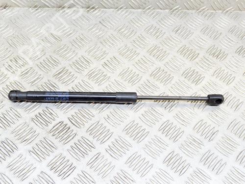 Used Hood lift support TESLA MODEL 3 (5YJ3) EV AWD (351 hp) 27752892
