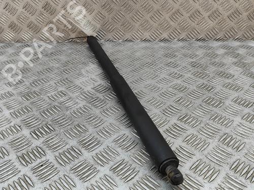 Tailgate lift support SKODA ENYAQ iV SUV (5AZ) 50 | BP27773399C138