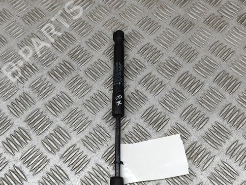 Hood lift support ALFA ROMEO STELVIO (949_) 2.0 Q4 (949.AXA2A) | BP28446679C139 