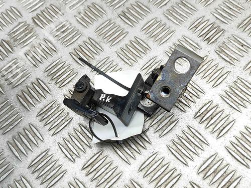 Hinge/Door check strap AUDI A7 Sportback (4GA, 4GF) 3.0 TDI quattro | BP29487752C146 