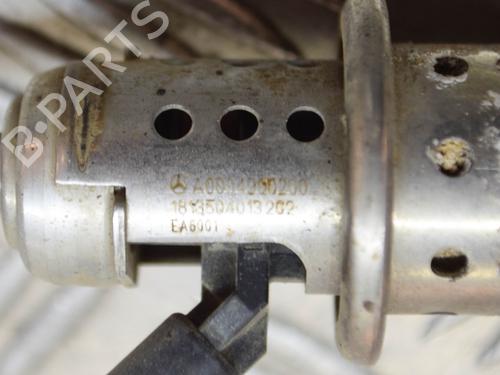 Injector MERCEDES-BENZ SPRINTER 3-t Van (B910) 214 CDI (910.621, 910.623) | BP27752002M100 