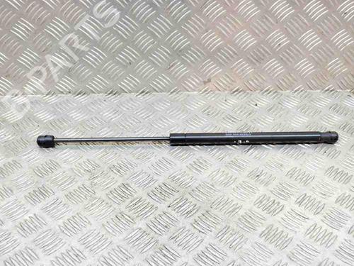 Tailgate lift support FORD FOCUS II Convertible 2.0 | BP20231878C138 