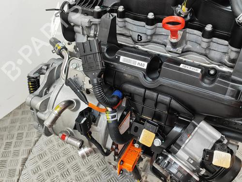 Engine KIA SPORTAGE V (NQ5) 1.6 T-GDi Hybrid | BP28435569M1  - Image 8