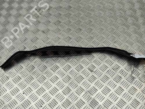 Rubber door seal BMW 7 (F01, F02, F03, F04) 730 d | BP18314017C142 