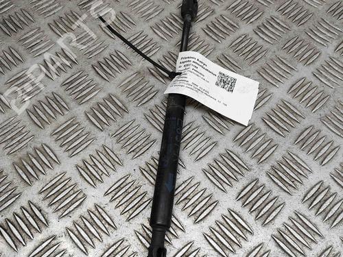 Hood lift support BMW X3 (E83) 3.0 d | BP24818133C139 