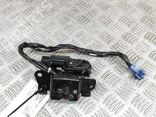 Bakluke lås LEXUS CT (ZWA10_) 200h (ZWA10_) (99 hp) 24307287