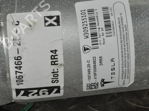 Right rear shock absorber TESLA MODEL S (5YJS) 75D AWD | BP30218249M19