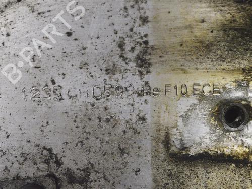 Bumper shock absorber BMW 5 (F10) 520 d | BP30234243C125