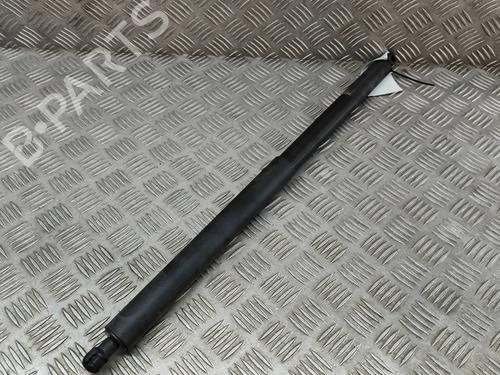 Tailgate lift support TESLA MODEL Y (5YJY) EV Performance All-wheel Drive | BP31314661C138
