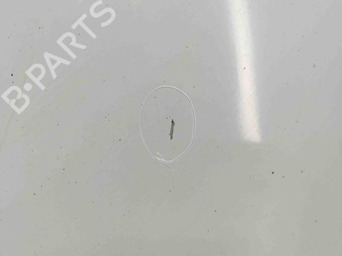 Right front door OPEL MOVANO B Van (X62) 2.3 CDTI FWD (FV) | BP29920140C3