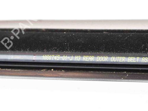 Dørliste TESLA MODEL 3 (5YJ3) EV AWD | BP27761890C150 