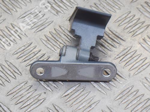 Hinge/Door check strap BMW 5 (F10) 520 d | BP14624075C146