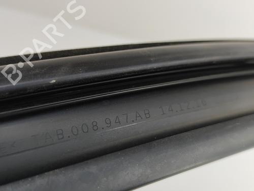 Door moulding trim VW PASSAT B8 Variant (3G5, CB5) 2.0 TDI | BP25788028C150 