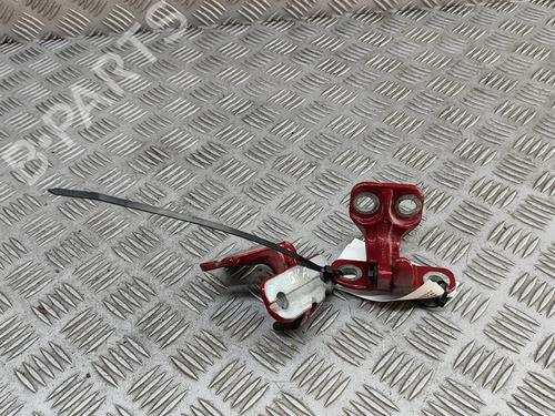 Hinge/Door check strap LAND ROVER RANGE ROVER EVOQUE (L538) 2.0 D | BP27569993C146 
