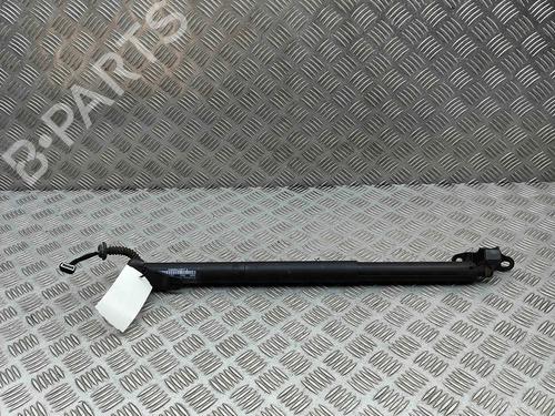 Used Tailgate lift support Tailgate lift support BMW X1 (F48) sDrive 18 d (150 hp) 29730968 29730968