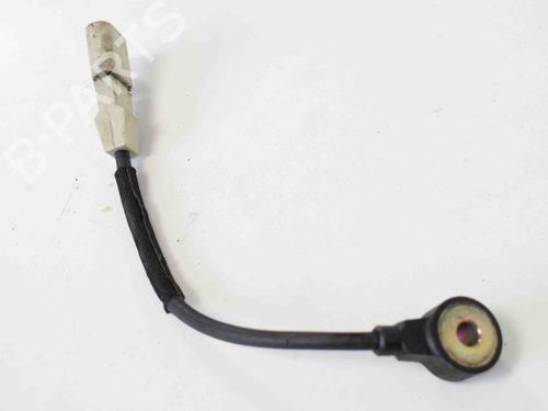 Electronic sensor AUDI A6 C6 (4F2) S6 quattro | BP30258876M84 