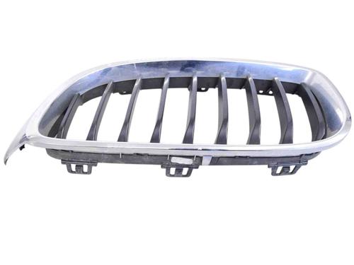 Grille FORD USA MUSTANG Coupe 5.0 302 | BP30256420C40 