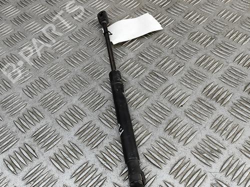 Hood lift support LAND ROVER RANGE ROVER EVOQUE (L538) 2.0 D | BP27570001C139 