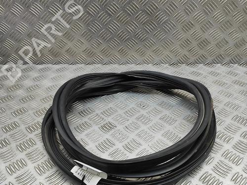 Rubber door seal MERCEDES-BENZ C-CLASS (W204) C 350 CDI (204.023) | BP29731035C142