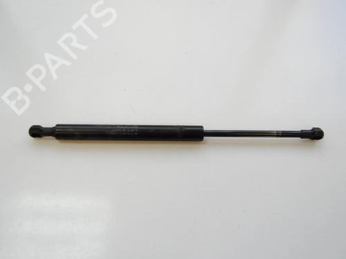 tailgate-lift-support-lexus-gs-_s19_-2005-2006-2007-2008-2009-2010-2011-2012-33359867 main image