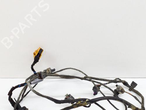 Used Electronic module AUDI A5 (8T3) 3.0 TDI quattro (245 hp) 14645025