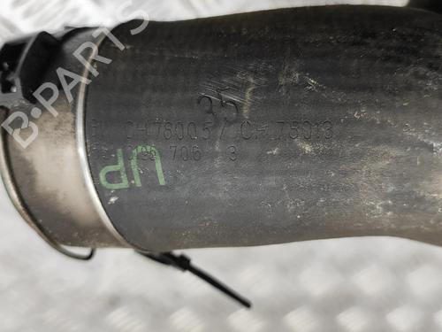 Pipe BMW 5 Touring (F11) M 550 d xDrive | BP24819032M125