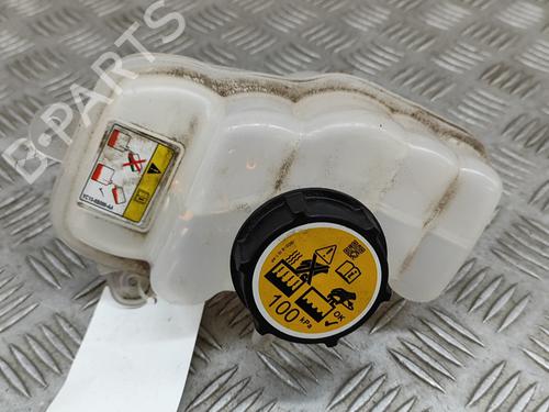 Used Expansion tank JAGUAR I-PACE (X590) EV400 AWD (400 hp) 27778760