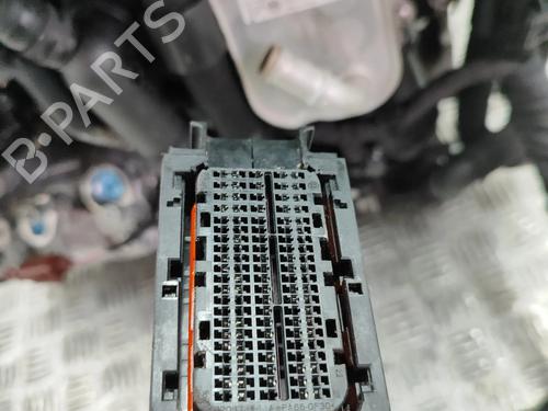 Engine VW GOLF VIII (CD1, DA1) 2.0 TDI GTD | BP28359406M1 