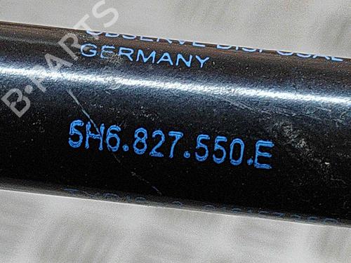 Tailgate lift support VW GOLF VIII (CD1, DA1) 1.5 TSI | BP27776418C138