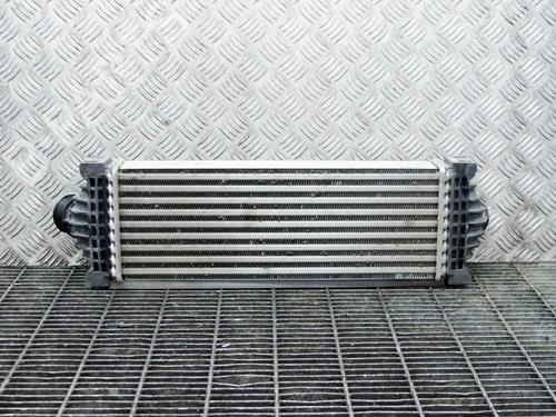 Used Intercooler Intercooler FORD TRANSIT CUSTOM V362 Van (FY, FZ) 2.0 EcoBlue (130 hp) 6761969 6761969