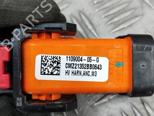 Wiring harness TESLA MODEL Y (5YJY) EV Performance All-wheel Drive | BP28590168E16
