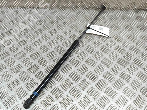 Tailgate lift support VW GOLF VIII (CD1, DA1) 1.5 TSI | BP27776418C138