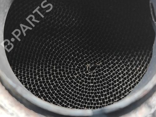 Catalyst SKODA KODIAQ I (NS6, NS7, NV7) 2.0 TDI 4x4 | BP30284841M10 