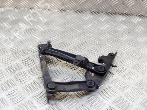 Hinge/Door check strap MERCEDES-BENZ S-CLASS (W220) S 400 CDI (220.028, 220.128) | BP14636331C146 