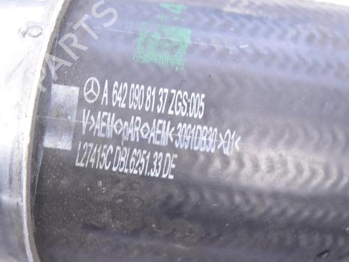 Pipe MERCEDES-BENZ E-CLASS (W213) AMG E 63 S 4-matic+ (213.089) | BP30254598M125 