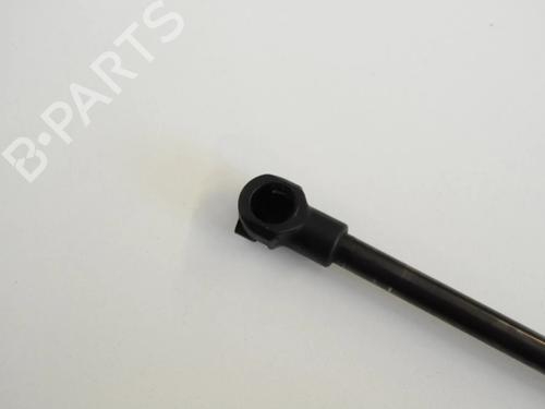 Tailgate lift support BMW 3 Coupe (E92) M3 | BP30241984C138