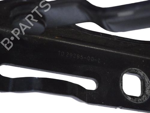 Hinge/Door check strap TESLA MODEL S (5YJS) 70D AWD | BP33359340C146  - Image 5