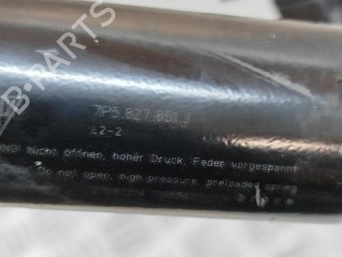 Tailgate lift support PORSCHE CAYENNE (92A) 3.0 Diesel | BP25615330C138 