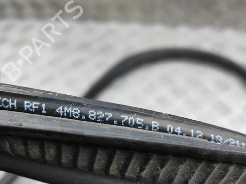 Gummiliste AUDI Q8 (4MN, 4MT) 55 TFSI Mild Hybrid quattro | BP38070775C142 - Image 7