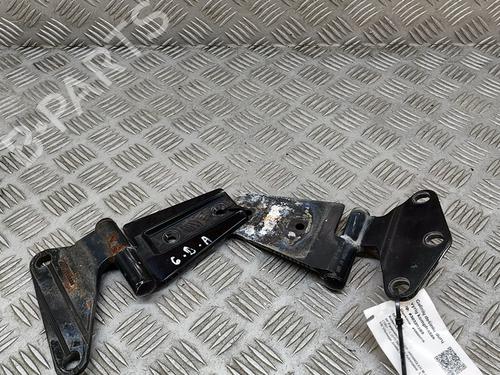 Hinge/Door check strap JEEP WRANGLER III (JK) 3.6 V6 | BP26012589C146 