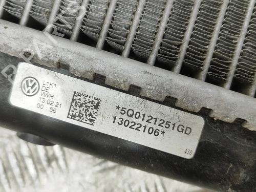 Water radiator VW CADDY V MPV (SBB, SBJ) 2.0 TDI 4motion | BP31976811M31 