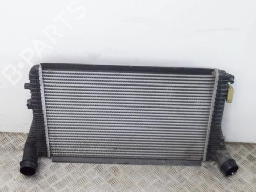 Used Intercooler Intercooler VW PASSAT B7 Variant (365) 2.0 TDI (177 hp) 10187393 10187393
